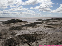mud flats, low tide