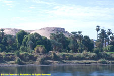 banks of the Nile