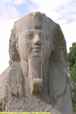 head of sphinx of Memphis