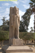 Ramsses statue