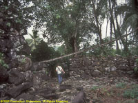 Paul at Lelu ruins