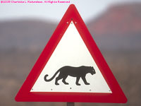 leopard sign