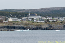 icebergs at Elliston