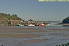 fishing boats at dock, low tide