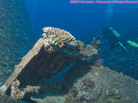 diver over wreck