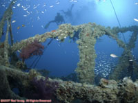 divers ascending over wreck