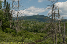 mountain and stream