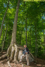 Charlotte and tree