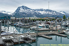 small boat harbor