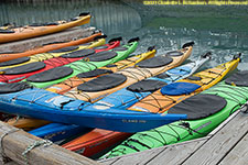 kayaks