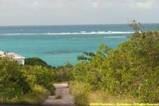 surf on the reef