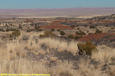 painted desert