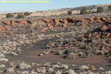 painted desert