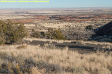 painted desert