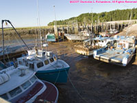 low tide