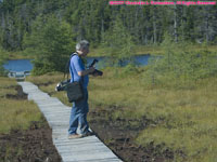 Paul in spagnum bog