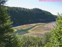 low tide