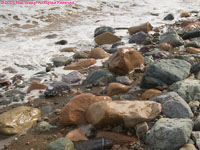 rocks in surf