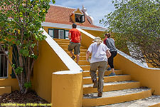 museum steps