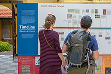 museum timeline