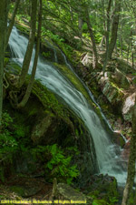 Buttermilk Falls