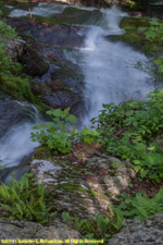 Buttermilk Falls