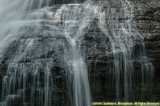 Dingman's Falls closeup