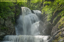 Dingman's Falls