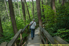 Paul on boardwalk at Dingman's Falls