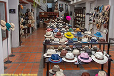 Panama hats