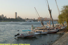 fellucas on the Nile