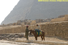 horse and pyramid