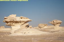 white desert