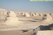 white desert