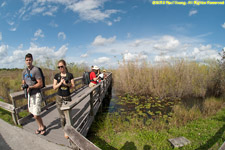 Anhinga Trail