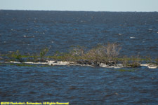 Lake Okeechobee