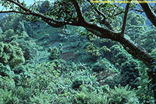 slope