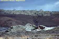 crater with ash cones