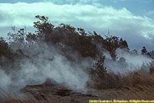 steam vents