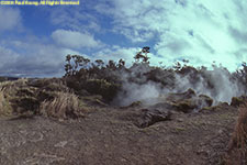 steam vents