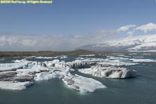 icebergs