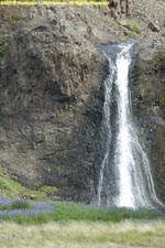 waterfall with lupines