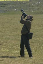 Daniel photographing terns