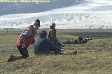 skua nesting ground at Jokulsarlon