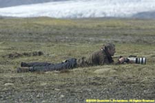 Daniel photographing arctic skuas