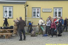 bird photographers at Flatey Island