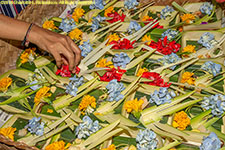 flower offerings