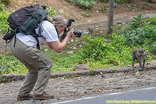 Charlotte photographing monkey