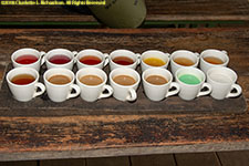 coffee tasting