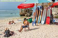 beach and surfboards